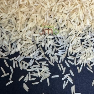 1509 Basmati Rice