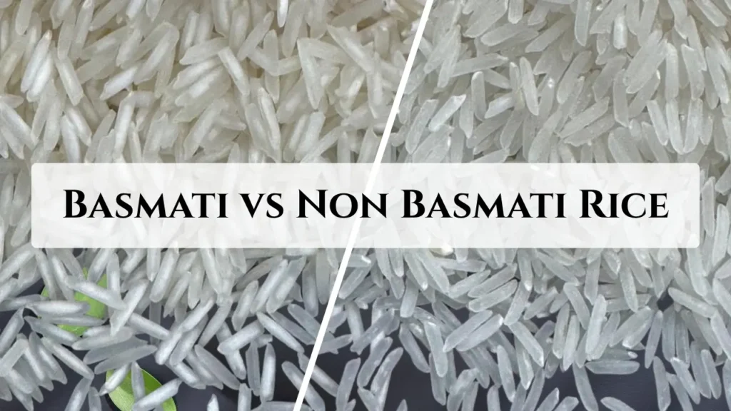 Basmati vs Non Basmati Rice