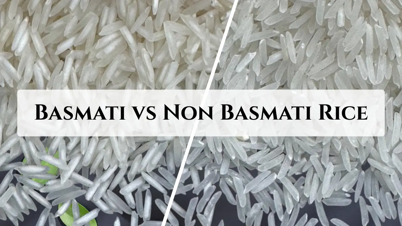 Basmati vs Non Basmati Rice