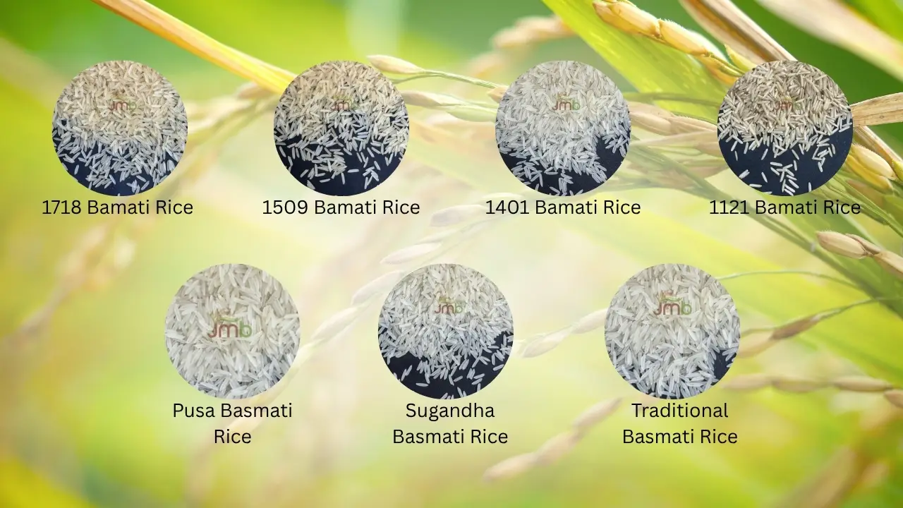 Major Varieties of Basmati Rice