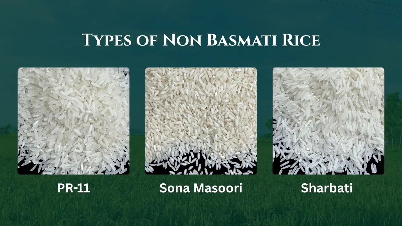 Types of Non Basmati Rice
