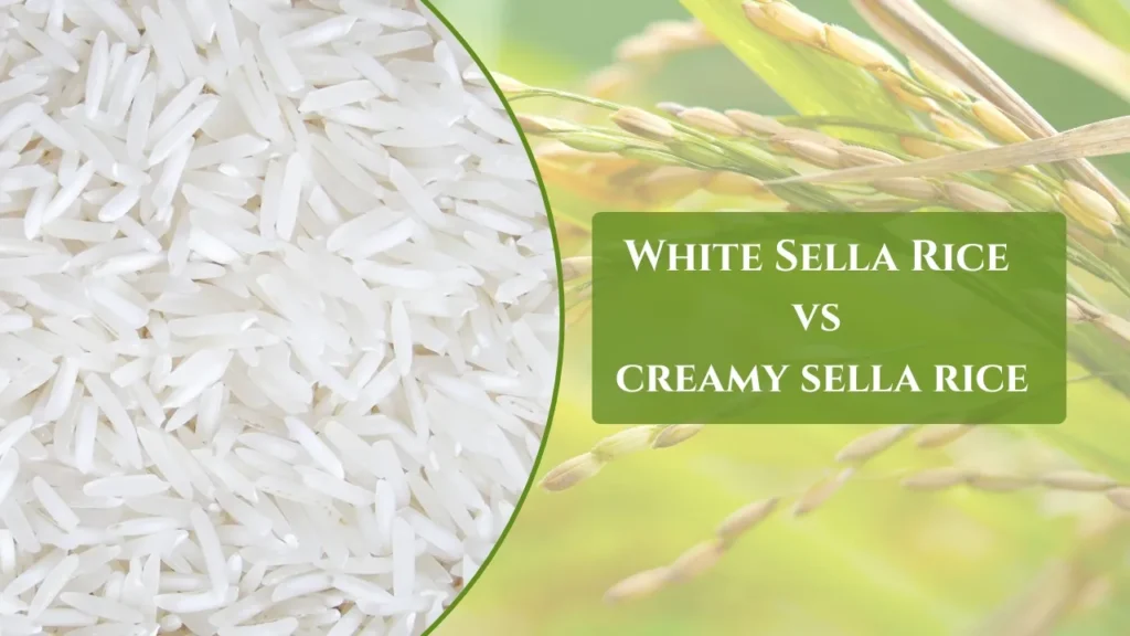 White Sella Rice