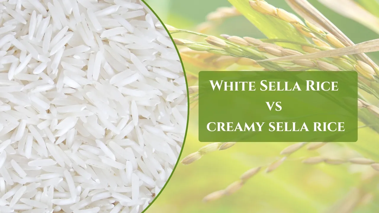 White Sella Rice