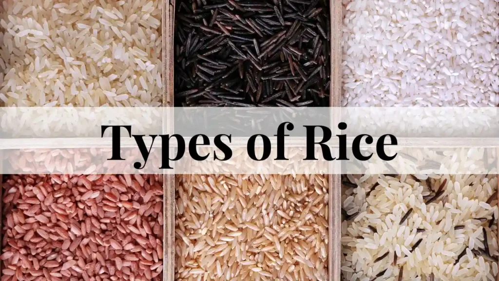 types of Rice