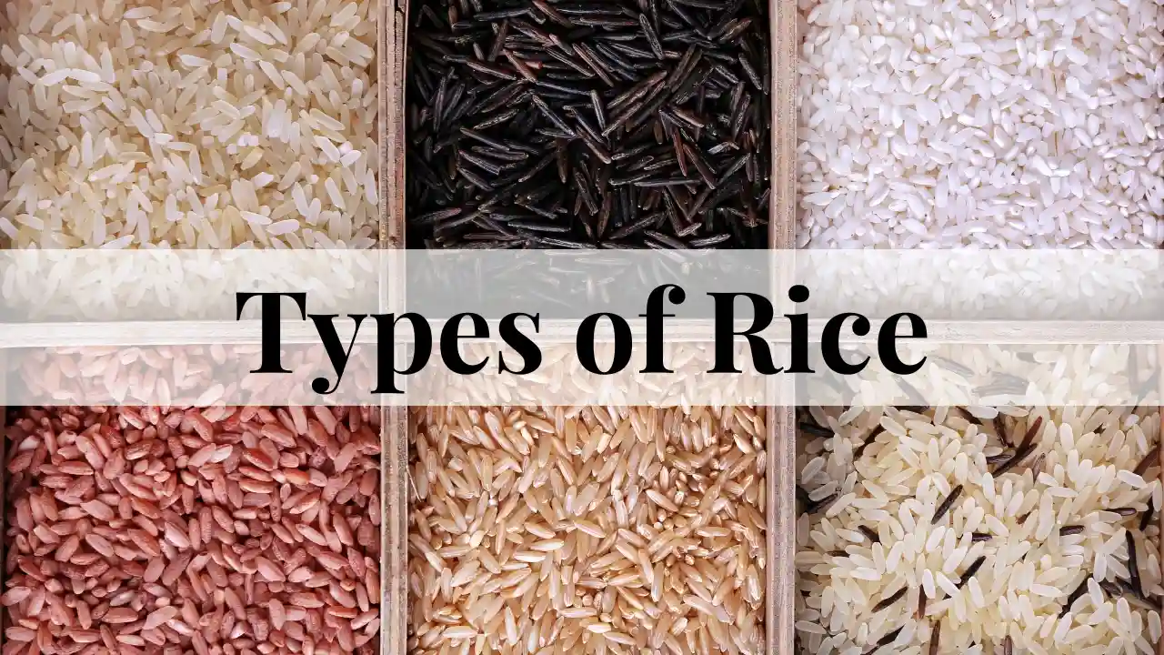 types of Rice
