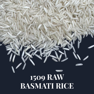 1509 raw basmati rice