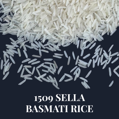 1509 sella basmati rice