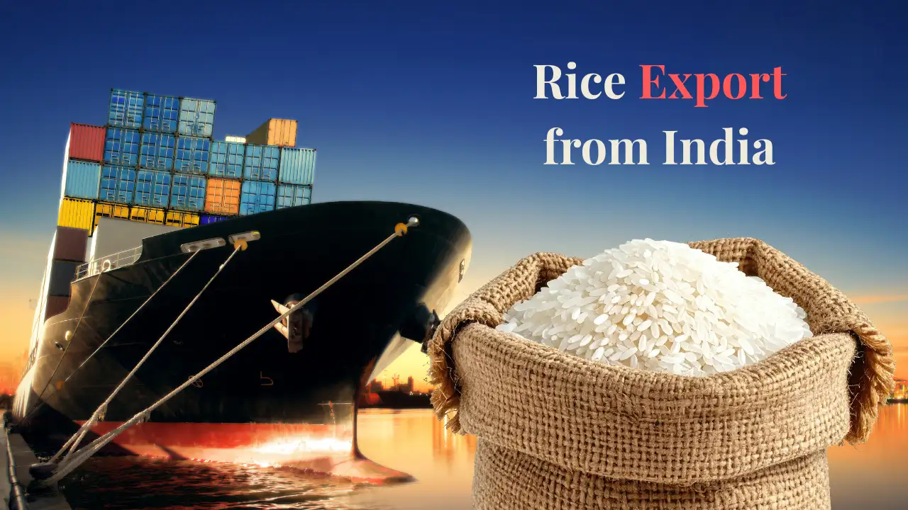 Rice Export from India
