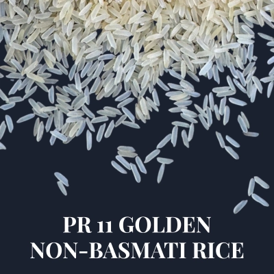 pr 11 golden non-basmati rice