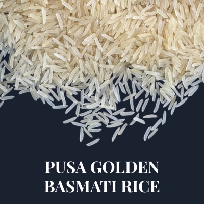 pusa golden basmati rice