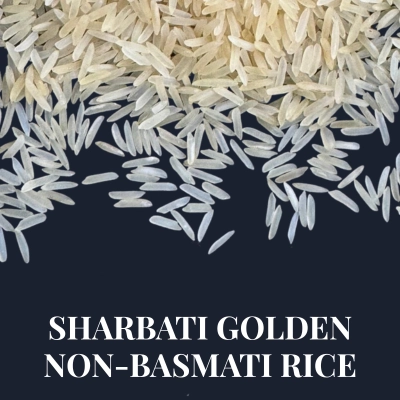 sharbati golden non-basmati rice
