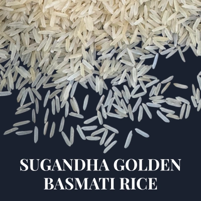 sugandha golden basmati rice