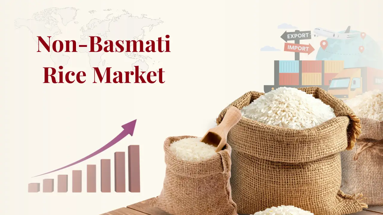 Non Basmati Rice Market