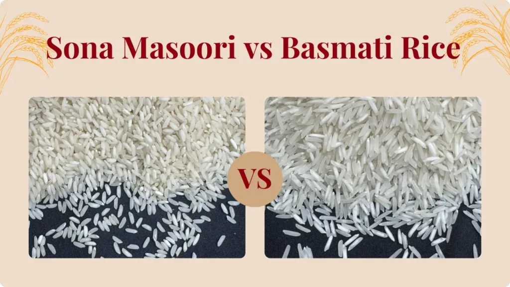 Sona masoori vs basmati rice