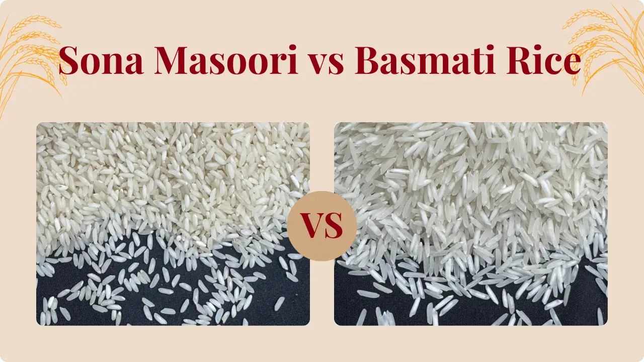 Sona masoori vs basmati rice