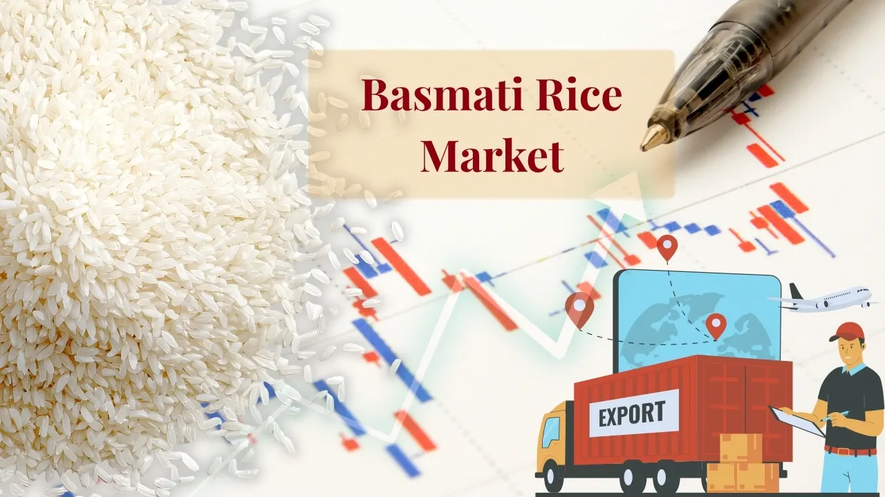 Basmati rice market