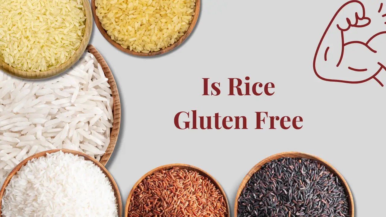 Is Rice Gluten Free