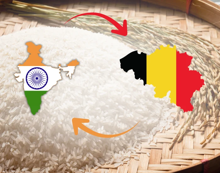 Rice Export to Belgium from India