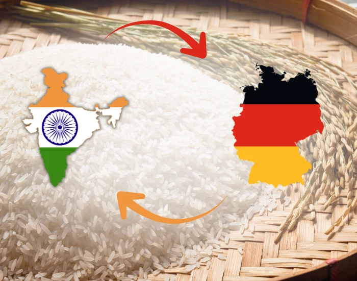 Rice Export to Germany from India