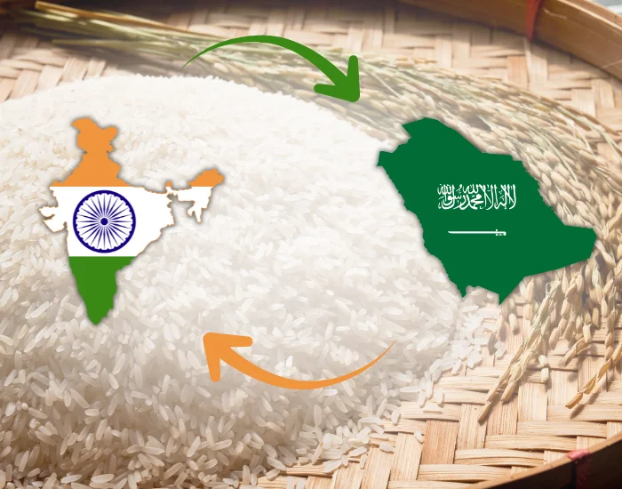 Rice Export to Saudi Arabia from India