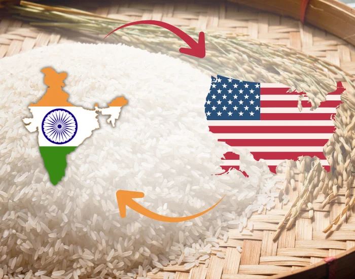 Rice Export to USA from India
